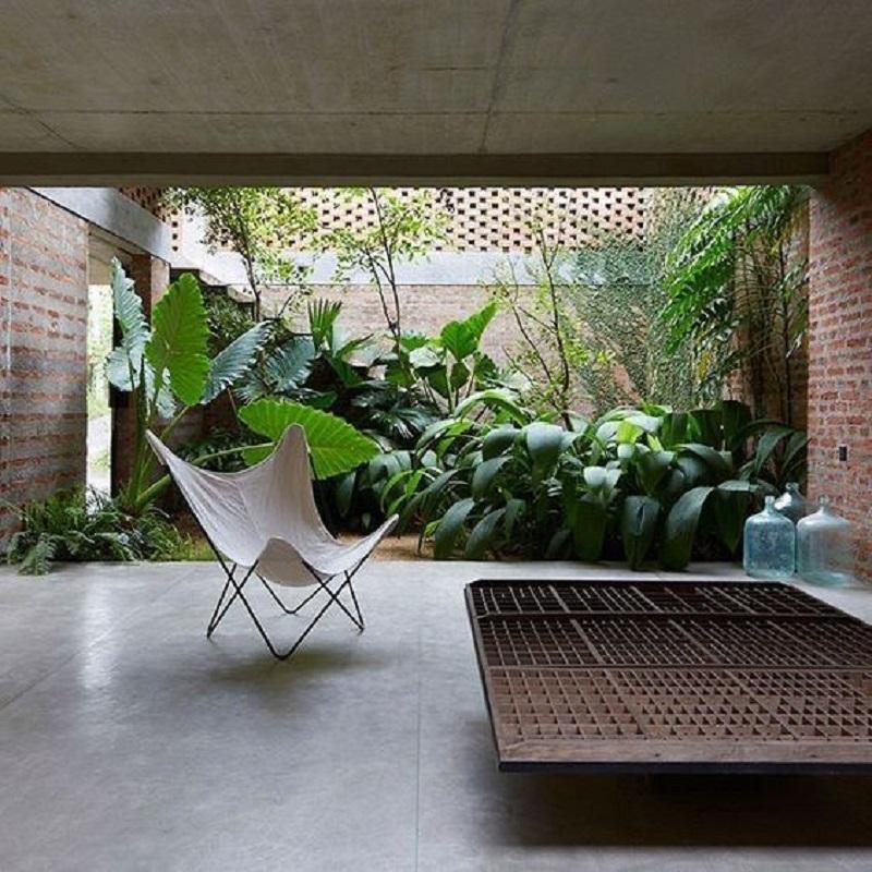 Embracing Indoor Greenery The Beauty of Houseplants