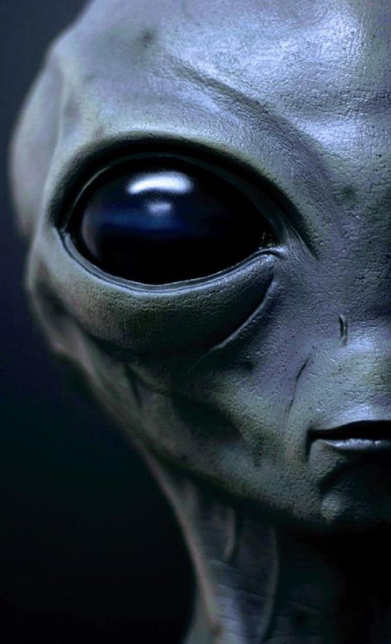 Alien Fashion: Do ETs Have Clothing and Accessories?